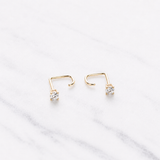 Stone Fish Hook Earrings