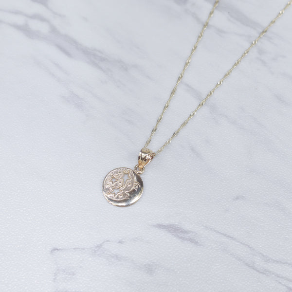 Moon Star Necklace