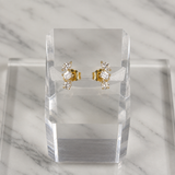 Mixed Cut Diamond Cluster Earrings