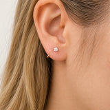 Stone Fish Hook Earrings