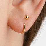 Ball Fish Hook Earrings