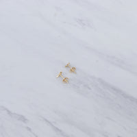 Dragon Fly Earrings