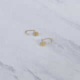Nail Fish Hook Earrings