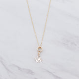 LOVE charm Necklace