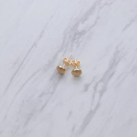 Gold Crust Earrings