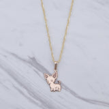 Custom Dog Necklace